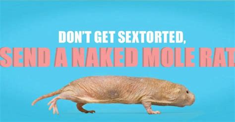 Send naked mole rat memes instead of nude photos,。